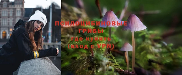 альфа пвп Новокубанск