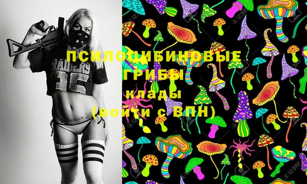 дурь Новозыбков