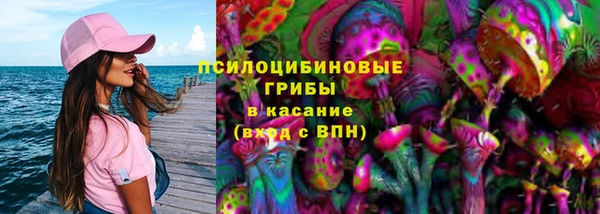 гашиш Новодвинск