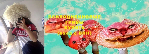 дурь Новозыбков