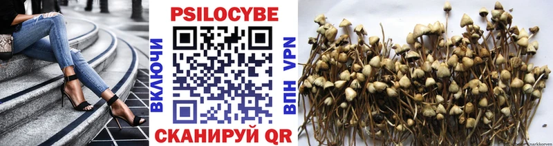 Галлюциногенные грибы MAGIC MUSHROOMS  наркотики  Покровск 